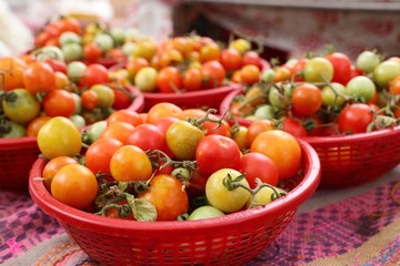 tomatoes at the market