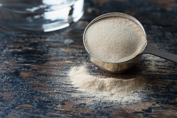 Vegan Protein Powder