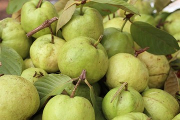 Guava fruit at street food