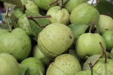 Guava fruit at street food
