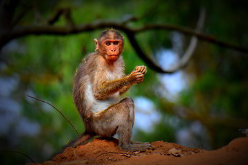 Well, Just a Candid ;)