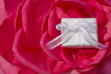 Gift box on a pink flower
