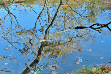Autumn reflection 1
