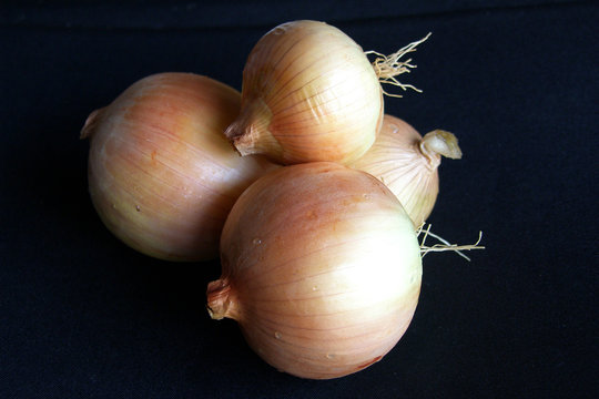 CEBOLLAS, UN INGREDIENTE EN LA DIETA DIARIA