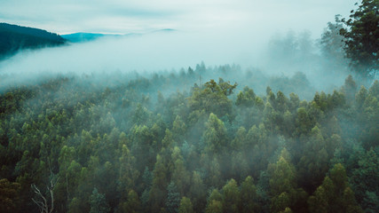 Fototapeta na wymiar Aerial View of Beautiful Australian Forest on a Foggy Day