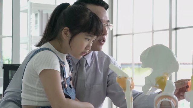 Little girl learning about human structure and skeleton model with asian doctor in modern laboratory of hospital. Concept of science, education, muscle healthy and anatomy bone.
