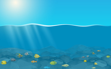Fototapeta na wymiar colorful fish under water in the ocean