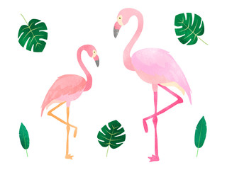 watercolor flamingo