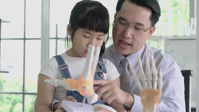 Little girl learning about human structure and skeleton model with asian doctor in modern laboratory of hospital. Concept of science, education, muscle healthy and anatomy bone.