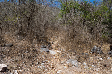 cerro de la vieja