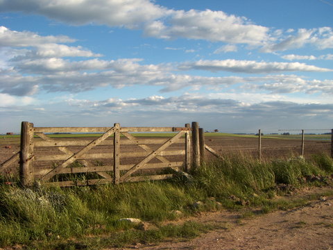 Tranquera  de campo