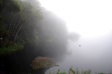 LAGUNA BAJO LA NIEBLA DE LA TARDE