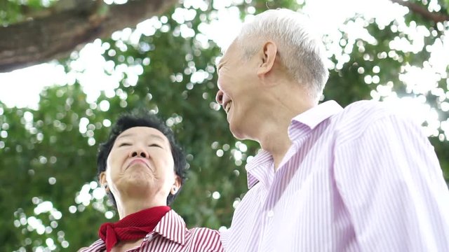 Asian senior couple have fun coversation relax day in park