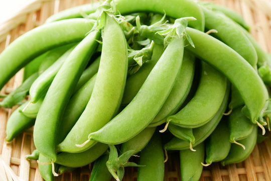 1 4 最適な スナップエンドウ 画像 ストック写真 ベクター Adobe Stock