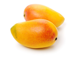 Mango on a white background