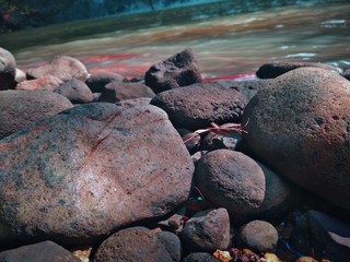 rock on the banks of the river