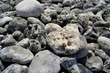 Beautiful dead corals and pebbles on the beach at Koh Hin Ngam,Thailand, the island that have only pebbles and dead corals. 