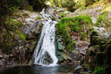 Fototapeta na wymiar Fudo waterfall in the forest at Sionoe town ,Shikoku,Japan