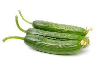 Lebanese Cucumber isolated on white background