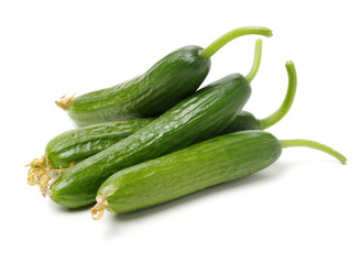 Lebanese Cucumber isolated on white background