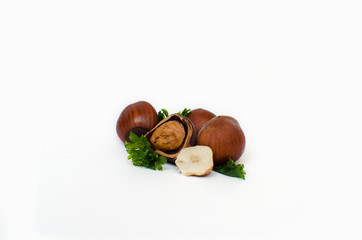  Hazelnut nut many leaves isolated on white background as package design element, with a place for the text 