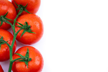 fresh red tomatoes on white background