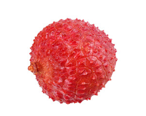 one fresh lychee isolated on white background. macro