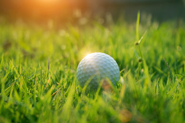 Golf ball on green grass in beautiful golf course at sunset background.