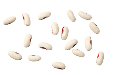 white kidney beans isolated on white background. top view