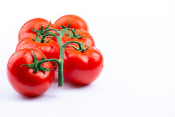 fresh red tomatoes on white background