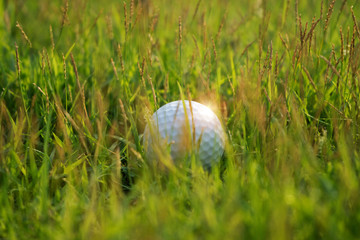 Golf ball and golf club in beautiful golf course at sunset background.