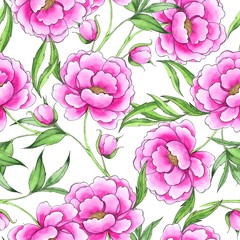Seamless pattern with hand drawn pink flowers. Line art peony
