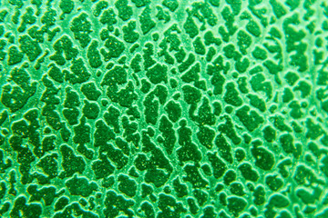 Obraz premium Green Texture and Background. Paper Texture. 