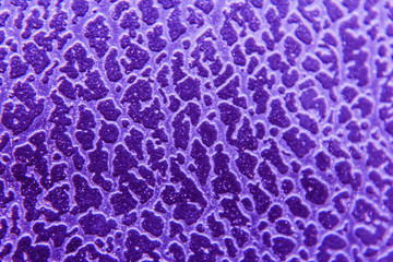 dark purple abstract background. Paper Texture. 