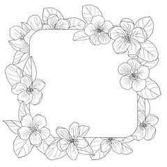 Apple blossom frame, coloring page