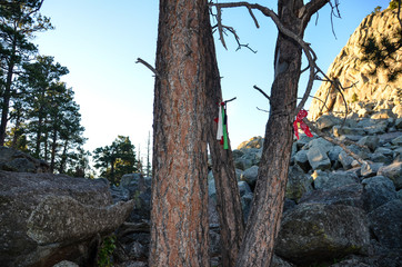 Prayer Cloths - Devils Tower National Monument - Wyoming