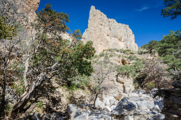 Guadalupe Mountains Landscape - Texas