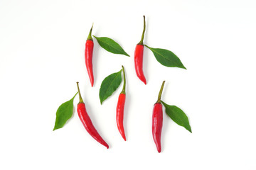 Top view red chili pepper and Chili leaves isolated on white background