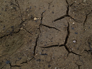 dry cracked earth