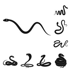 Vector design of nature and medicine symbol. Set of nature and evil stock symbol for web.