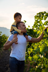 man and child in vineyards