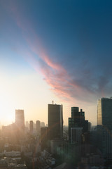 Vertical image of Tokyo skyline at sunset. Logos and trademarks removed.