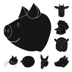 Isolated object of ranch  and organic  logo. Collection of ranch  and head stock symbol for web.