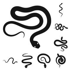 Isolated object of nature and medicine icon. Set of nature and evil vector icon for stock.