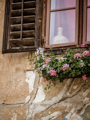 Vase in a window
