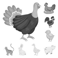 Isolated object of homestead and agriculture logo. Collection of homestead and kitchen  vector icon for stock.