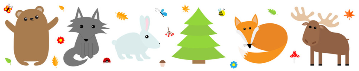 Forest animal insect set line. Bear hare fox moose owl ladybug bee butterfly frog wolf fir tree leaf flower mushroom. Kids education cards. White background. Isolated. Flat design