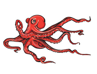 Hand drawn vector octopus illustration. Cartoon octopus. Vintage color engraving color illustration. Red octopus on blue background.