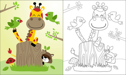 Coloring book or page with nice giraffe cartoon and friends, raccoon, birds.