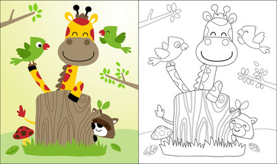 Fototapeta premium Coloring book or page with nice giraffe cartoon and friends, raccoon, birds.